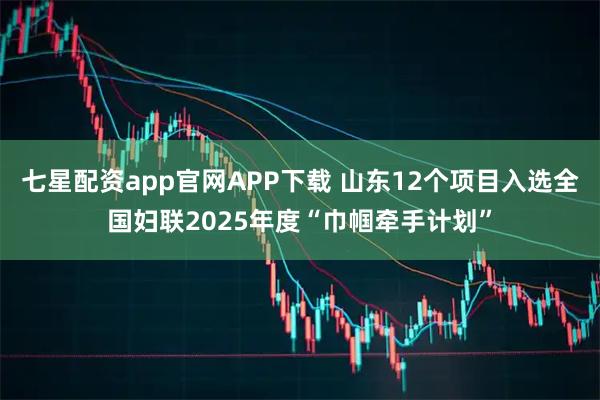 七星配资app官网APP下载 山东12个项目入选全国妇联2025年度“巾帼牵手计划”