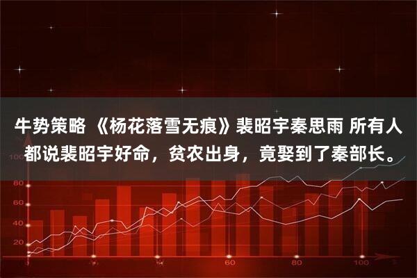 牛势策略 《杨花落雪无痕》裴昭宇秦思雨 所有人都说裴昭宇好命,贫农出身,竟娶到了秦部长。