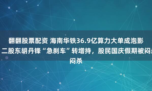翻翻股票配资 海南华铁36.9亿算力大单成泡影,二股东胡丹锋“急刹车”转增持,股民国庆假期被闷杀