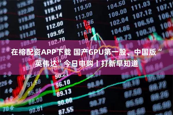 在榕配资APP下载 国产GPU第一股、中国版“英伟达”今日申购丨打新早知道